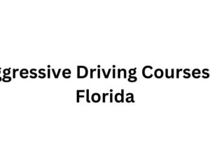 aggressive-driving-courses-in-florida